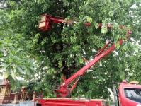 ดับเพลิงนครแม่สอด ออกตัดกิ่งไม้พาดผ่านสายไฟฟ้า บริเวณศูนย์การแสดงสินค้า OTOP