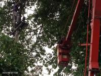 ดับเพลิงนครแม่สอด ออกตัดกิ่งไม้พาดผ่านสายไฟฟ้า บริเวณศูนย์การแสดงสินค้า OTOP