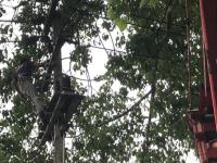 ดับเพลิงนครแม่สอด ออกตัดกิ่งไม้พาดผ่านสายไฟฟ้า บริเวณศูนย์การแสดงสินค้า OTOP