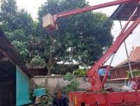 ดับเพลิงนครแม่สอด ออกตัดต้นไม้หน้าบ้านประชาชน บริเวณหลังวัดชุมพลคีรี