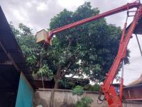 ดับเพลิงนครแม่สอด ออกตัดต้นไม้หน้าบ้านประชาชน บริเวณหลังวัดชุมพลคีรี