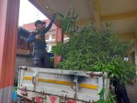 ดับเพลิงนครแม่สอด ออกตัดต้นไม้หน้าบ้านประชาชน บริเวณหลังวัดชุมพลคีรี