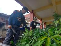 ดับเพลิงนครแม่สอด ออกตัดต้นไม้หน้าบ้านประชาชน บริเวณหลังวัดชุมพลคีรี