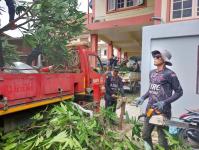 ดับเพลิงนครแม่สอด ออกตัดต้นไม้หน้าบ้านประชาชน บริเวณหลังวัดชุมพลคีรี