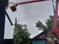 ดับเพลิงนครแม่สอด ออกตัดต้นไม้หน้าบ้านประชาชน บริเวณหลังวัดชุมพลคีรี