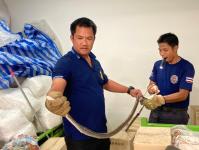 ดับเพลิงนครแม่สอด ออกจับงูโรงแรมมอนเต