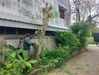 ดับเพลิงนครแม่สอด ออกตัดต้นไม้ซอยชุมชนร่วมแรง