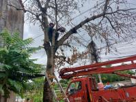 ดับเพลิงนครแม่สอด ออกตัดต้นไม้ซอยชุมชนร่วมแรง