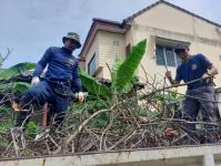 ดับเพลิงนครแม่สอด ออกตัดต้นไม้ซอยชุมชนร่วมแรง