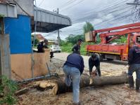 ดับเพลิงนครแม่สอด ออกตัดต้นไม้ซอยชุมชนร่วมแรง