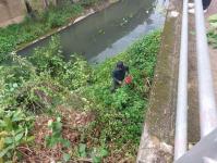 ดับเพลิงนครแม่สอด ออกตัดต้นไม้ในคลองชลประทาน ชุมชนจ๊อกจอสามัคคี