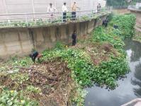 ดับเพลิงนครแม่สอด ออกตัดต้นไม้ในคลองชลประทาน ชุมชนจ๊อกจอสามัคคี