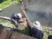 ดับเพลิงนครแม่สอด ออกตัดต้นไม้ในคลองชลประทาน ชุมชนจ๊อกจอสามัคคี