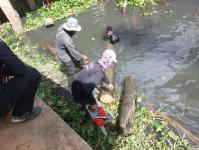 ดับเพลิงนครแม่สอด ออกตัดต้นไม้ในคลองชลประทาน ชุมชนจ๊อกจอสามัคคี