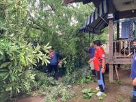 ดับเพลิงนครแม่สอด ออกตัดต้นไม้ล้มทับรั้วบ้านประชาชน ชุมชนประชารักษ์