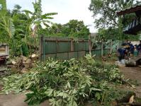 ดับเพลิงนครแม่สอด ออกตัดต้นไม้ล้มทับรั้วบ้านประชาชน ชุมชนประชารักษ์