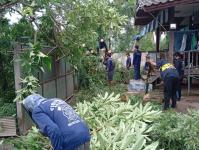 ดับเพลิงนครแม่สอด ออกตัดต้นไม้ล้มทับรั้วบ้านประชาชน ชุมชนประชารักษ์