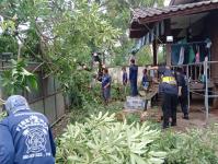 ดับเพลิงนครแม่สอด ออกตัดต้นไม้ล้มทับรั้วบ้านประชาชน ชุมชนประชารักษ์