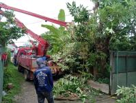 ดับเพลิงนครแม่สอด ออกตัดต้นไม้ล้มทับรั้วบ้านประชาชน ชุมชนประชารักษ์