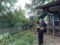 ดับเพลิงนครแม่สอด ออกตัดต้นไม้ล้มทับรั้วบ้านประชาชน ชุมชนประชารักษ์