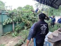 ดับเพลิงนครแม่สอด ออกตัดต้นไม้ล้มทับรั้วบ้านประชาชน ชุมชนประชารักษ์