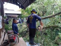 ดับเพลิงนครแม่สอด ออกตัดต้นไม้ล้มทับรั้วบ้านประชาชน ชุมชนประชารักษ์