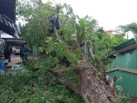 ดับเพลิงนครแม่สอด ออกตัดต้นไม้ล้มทับรั้วบ้านประชาชน ชุมชนประชารักษ์