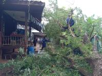 ดับเพลิงนครแม่สอด ออกตัดต้นไม้ล้มทับรั้วบ้านประชาชน ชุมชนประชารักษ์