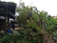 ดับเพลิงนครแม่สอด ออกตัดต้นไม้ล้มทับรั้วบ้านประชาชน ชุมชนประชารักษ์