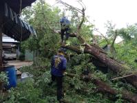 ดับเพลิงนครแม่สอด ออกตัดต้นไม้ล้มทับรั้วบ้านประชาชน ชุมชนประชารักษ์