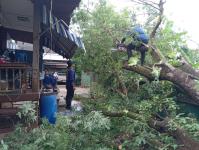 ดับเพลิงนครแม่สอด ออกตัดต้นไม้ล้มทับรั้วบ้านประชาชน ชุมชนประชารักษ์