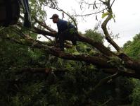 ดับเพลิงนครแม่สอด ออกตัดต้นไม้ล้มทับรั้วบ้านประชาชน ชุมชนประชารักษ์