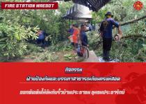 ดับเพลิงนครแม่สอด ออกตัดต้นไม้ล้มทับรั้วบ้านประชาชน ชุมชนประชารักษ์