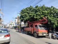 ดับเพลิงนครแม่สอด ออกตัดต้นไม้บริเวณตลาดบ้านเหนือ