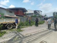 ดับเพลิงนครแม่สอด ออกตัดต้นไม้บริเวณตลาดบ้านเหนือ