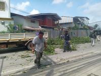 ดับเพลิงนครแม่สอด ออกตัดต้นไม้บริเวณตลาดบ้านเหนือ