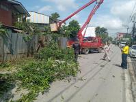 ดับเพลิงนครแม่สอด ออกตัดต้นไม้บริเวณตลาดบ้านเหนือ