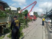 ดับเพลิงนครแม่สอด ออกตัดต้นไม้บริเวณตลาดบ้านเหนือ