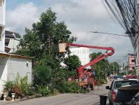 ดับเพลิงนครแม่สอด ออกตัดต้นไม้บริเวณตลาดบ้านเหนือ