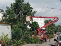 ดับเพลิงนครแม่สอด ออกตัดต้นไม้บริเวณตลาดบ้านเหนือ