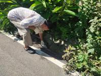 ตามที่กองช่างสุขาภิบาล ได้ออกปฏิบัติงานตามคำร้องทั่วไป