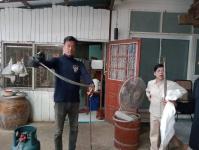 ดับเพลิงนครแม่สอด ออกจับงูบ้านประชาชนข้างโรงเรียนเทศบาลวัดมณีไพรสณฑ์