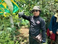 ดับเพลิงนครแม่สอด ออกจับงูบ้านประชาชน ชุมชนร่วมแรง