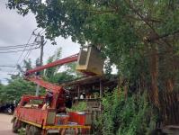 ดับเพลิงนครแม่สอด ออกตัดต้นไม้พาดผ่านสายไฟฟ้า บริเวณบ้านสิงโตรีสอร์ท