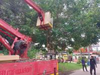 ดับเพลิงนครแม่สอด ออกตัดต้นไม้พาดผ่านสายไฟฟ้า บริเวณบ้านสิงโตรีสอร์ท