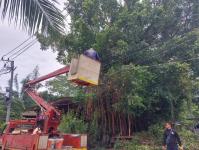 ดับเพลิงนครแม่สอด ออกตัดต้นไม้พาดผ่านสายไฟฟ้า บริเวณบ้านสิงโตรีสอร์ท