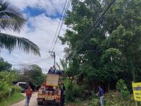 ดับเพลิงนครแม่สอด ออกตัดต้นไม้พาดผ่านสายไฟฟ้า บริเวณบ้านสิงโตรีสอร์ท