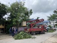 ดับเพลิงนครแม่สอด ออกตัดต้นไม้หน้าบ้านประชาชน บริเวณหลังโรงพยาบาลแม่สอด-ราม