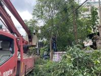 ดับเพลิงนครแม่สอด ออกตัดต้นไม้หน้าบ้านประชาชน บริเวณหลังโรงพยาบาลแม่สอด-ราม