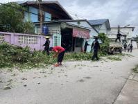 ดับเพลิงนครแม่สอด ออกตัดต้นไม้หน้าบ้านประชาชน บริเวณหลังโรงพยาบาลแม่สอด-ราม